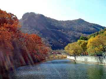 天天彩好彩天天免费，梅花鹿价格